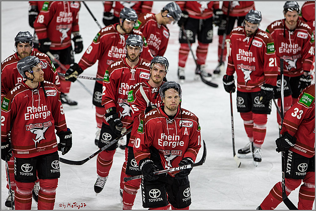 DEL, Koelner Haie - Grizzlys Wolfsburg, 21.03.2017